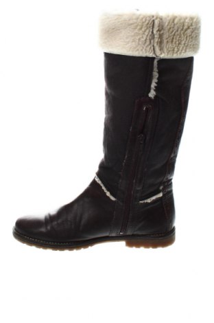 Damenstiefel Tommy Hilfiger, Größe 37, Farbe Braun, Preis 64,72 €