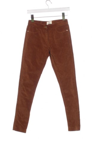 Pantaloni de velvet de femei, Mărime S, Culoare Maro, Preț 21,94 Lei