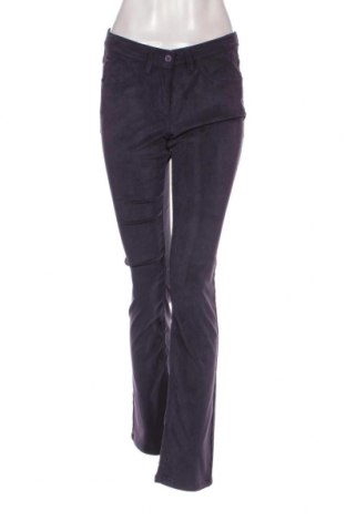 Pantaloni de velvet de femei Chervo, Mărime S, Culoare Mov, Preț 480,26 Lei