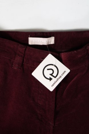 Pantaloni de velvet de femei Stefanel, Mărime S, Culoare Roșu, Preț 104,08 Lei