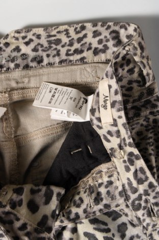 Γυναικείο παντελόνι Gang, Μέγεθος L, Χρώμα Πολύχρωμο, Τιμή 5,15 €