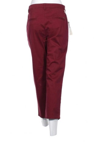 Damenhose Reign, Größe S, Farbe Lila, Preis 9,42 €