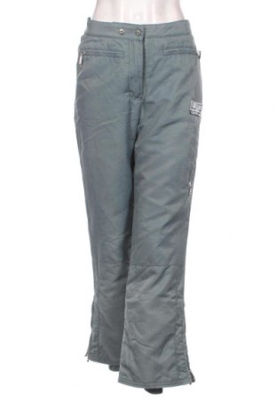 Γυναίκειο παντελόνι για χειμερινά σπορ, Μέγεθος M, Χρώμα Γκρί, Τιμή 18,17 €