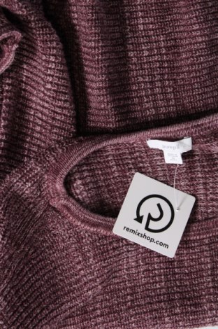 Γυναικείο πουλόβερ Pure jill, Μέγεθος XS, Χρώμα Βιολετί, Τιμή 5,38 €
