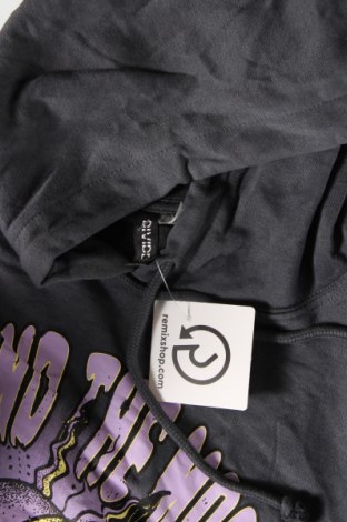Γυναικείο φούτερ H&M Divided, Μέγεθος L, Χρώμα Γκρί, Τιμή 11,48 €