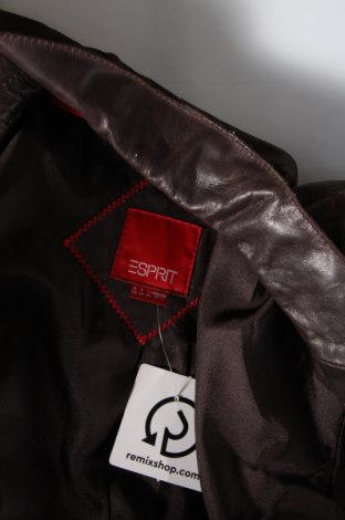 Dámska kožená bunda  Esprit, Veľkosť S, Farba Hnedá, Cena  57,84 €