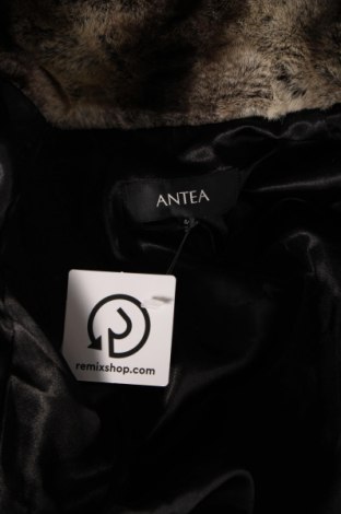 Дамско палто Antea, Размер L, Цвят Многоцветен, Цена 70,62 лв.