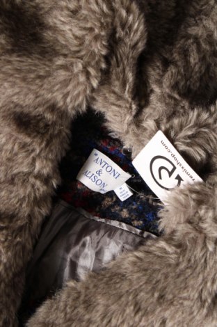 Γυναικείο παλτό Antoni&Alison, Μέγεθος M, Χρώμα Πολύχρωμο, Τιμή 98,17 €