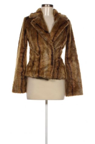 Дамско палто H&M, Размер XS, Цвят Кафяв, Цена 48,15 лв.