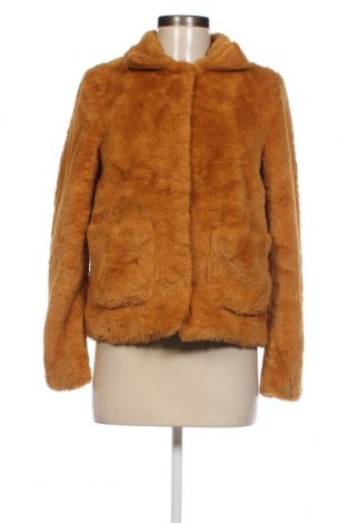 Γυναικείο παλτό H&M Divided, Μέγεθος XS, Χρώμα Καφέ, Τιμή 19,86 €