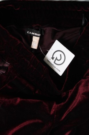Damen Sporthose Cambio, Größe M, Farbe Rot, Preis 6,46 €