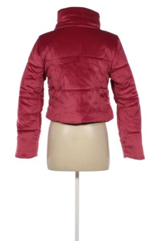 Damenjacke Reebok, Größe XXS, Farbe Rosa, Preis € 29,52