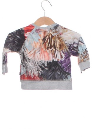 Παιδική μπλούζα Molo, Μέγεθος 3-6m/ 62-68 εκ., Χρώμα Πολύχρωμο, Τιμή 5,26 €