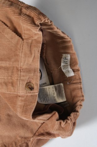 Dětská sukně  H&M, Velikost 9-10y/ 140-146 cm, Barva Hnědá, Cena  188,00 Kč