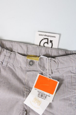 Детски къс панталон Chicco, Размер 6-9m/ 68-74 см, Цвят Многоцветен, Цена 11,70 лв.