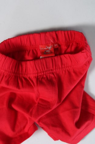 Pantaloni scurți pentru copii Disney, Mărime 2-3y/ 98-104 cm, Culoare Roșu, Preț 128,95 Lei