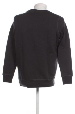Ανδρική μπλούζα Pull&Bear, Μέγεθος M, Χρώμα Γκρί, Τιμή 8,95 €