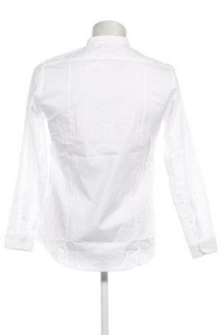Ανδρικό πουκάμισο Liu Jo, Μέγεθος M, Χρώμα Λευκό, Τιμή 77,32 €