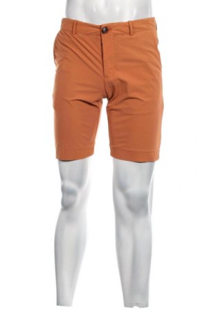Мъжки къс панталон Roberto Ricci Designs, Размер L, Цвят Кафяв, Цена 29,58 лв.