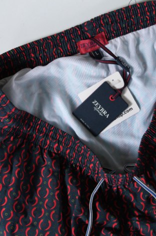 Ανδρικό κοντό παντελόνι Zeybra, Μέγεθος L, Χρώμα Πολύχρωμο, Τιμή 17,42 €
