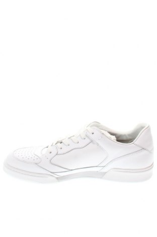 Ανδρικά παπούτσια Polo By Ralph Lauren, Μέγεθος 49, Χρώμα Λευκό, Τιμή 26,81 €