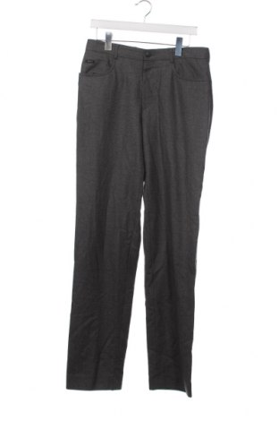 Pantaloni de bărbați Brax, Mărime S, Culoare Gri, Preț 23,16 Lei