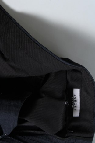 Pánske nohavice  Jaeger, Veľkosť M, Farba Modrá, Cena  4,24 €