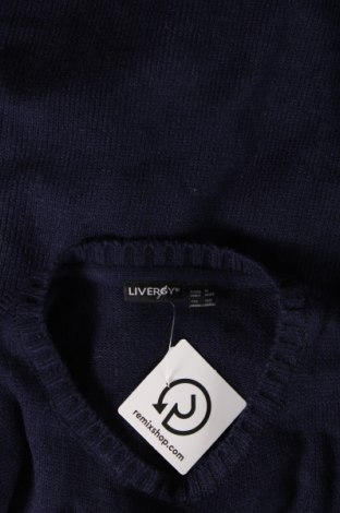 Ανδρικό πουλόβερ Livergy, Μέγεθος S, Χρώμα Μπλέ, Τιμή 4,49 €