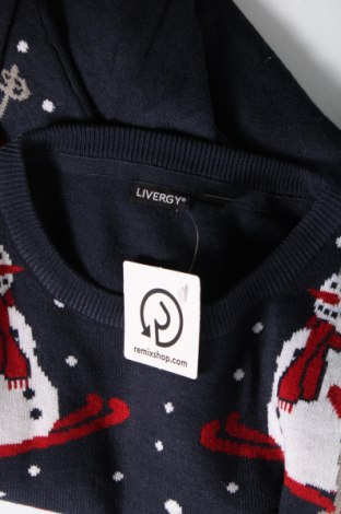 Ανδρικό πουλόβερ Livergy, Μέγεθος M, Χρώμα Πολύχρωμο, Τιμή 5,38 €
