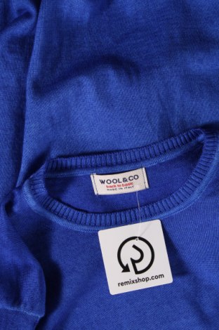 Ανδρικό πουλόβερ Wool & Co, Μέγεθος M, Χρώμα Μπλέ, Τιμή 20,42 €