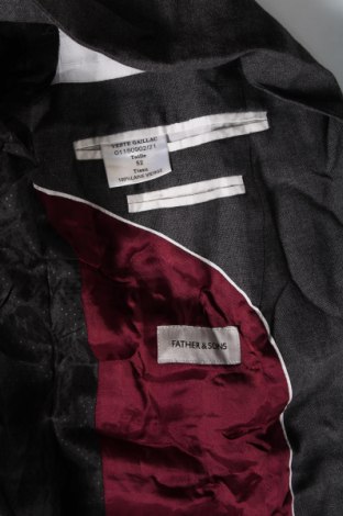 Ανδρικό σακάκι Father & Sons, Μέγεθος L, Χρώμα Γκρί, Τιμή 5,15 €