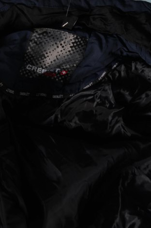 Ανδρικό αθλητικό μπουφάν, Μέγεθος L, Χρώμα Μπλέ, Τιμή 11,38 €