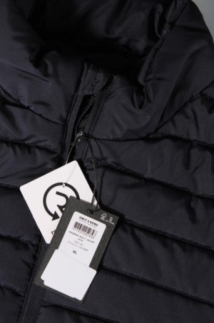 Ανδρικό μπουφάν Only & Sons, Μέγεθος XL, Χρώμα Μπλέ, Τιμή 25,00 €