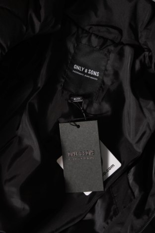 Ανδρικό μπουφάν Only & Sons, Μέγεθος XS, Χρώμα Μαύρο, Τιμή 30,56 €