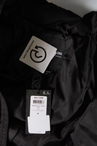 Ανδρικό μπουφάν Only & Sons, Μέγεθος M, Χρώμα Μαύρο, Τιμή 30,56 €