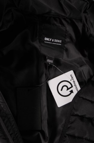 Ανδρικό μπουφάν Only & Sons, Μέγεθος S, Χρώμα Μαύρο, Τιμή 14,29 €