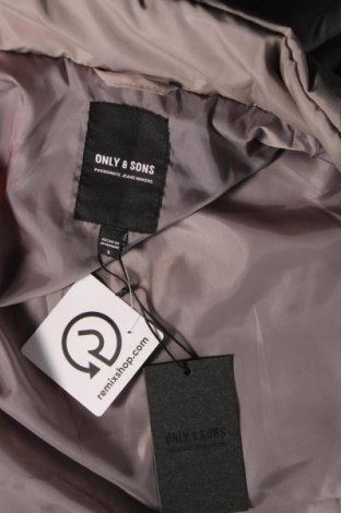 Ανδρικό μπουφάν Only & Sons, Μέγεθος S, Χρώμα Γκρί, Τιμή 17,86 €