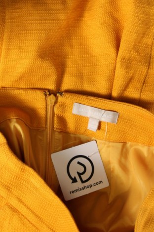 Φούστα Banana Republic, Μέγεθος XS, Χρώμα Κίτρινο, Τιμή 24,12 €