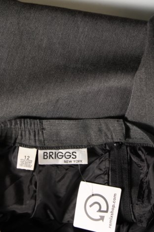 Fustă Briggs New York, Mărime M, Culoare Gri, Preț 9,54 Lei