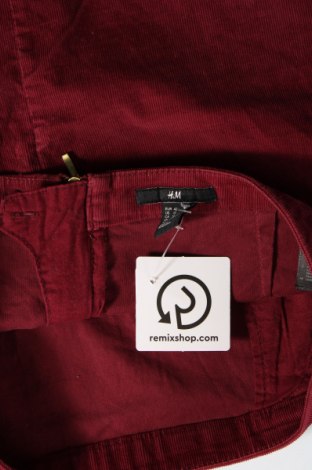 Φούστα H&M, Μέγεθος L, Χρώμα Κόκκινο, Τιμή 2,69 €