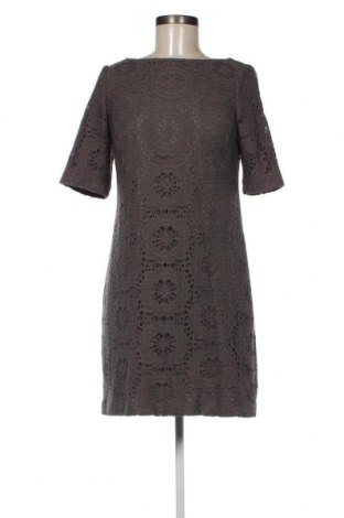 Kleid Adrianna Papell, Größe S, Farbe Grün, Preis 13,14 €