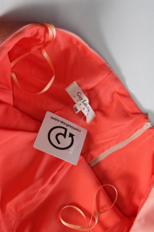 Šaty  Guy Laroche, Veľkosť M, Farba Oranžová, Cena  61,24 €