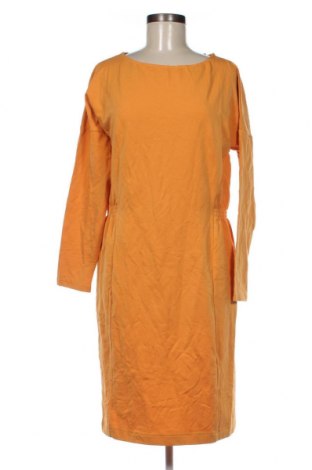 Φόρεμα Nosh, Μέγεθος L, Χρώμα Κίτρινο, Τιμή 12,77 €