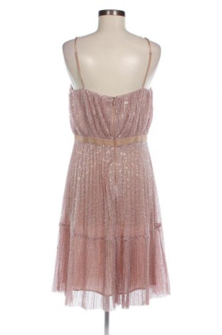 Šaty  Pinko, Veľkosť XL, Farba Popolavo ružová, Cena  109,90 €