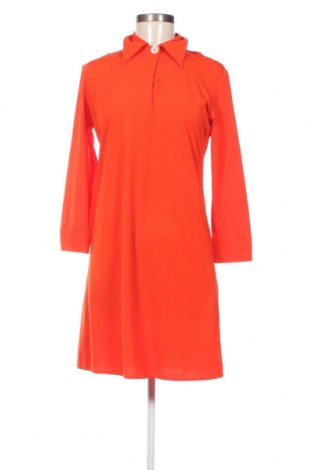 Kleid Roberto Ricci Designs, Größe L, Farbe Orange, Preis 50,52 €