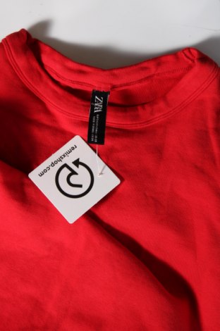 Tunika Zara, Größe S, Farbe Rot, Preis 5,18 €