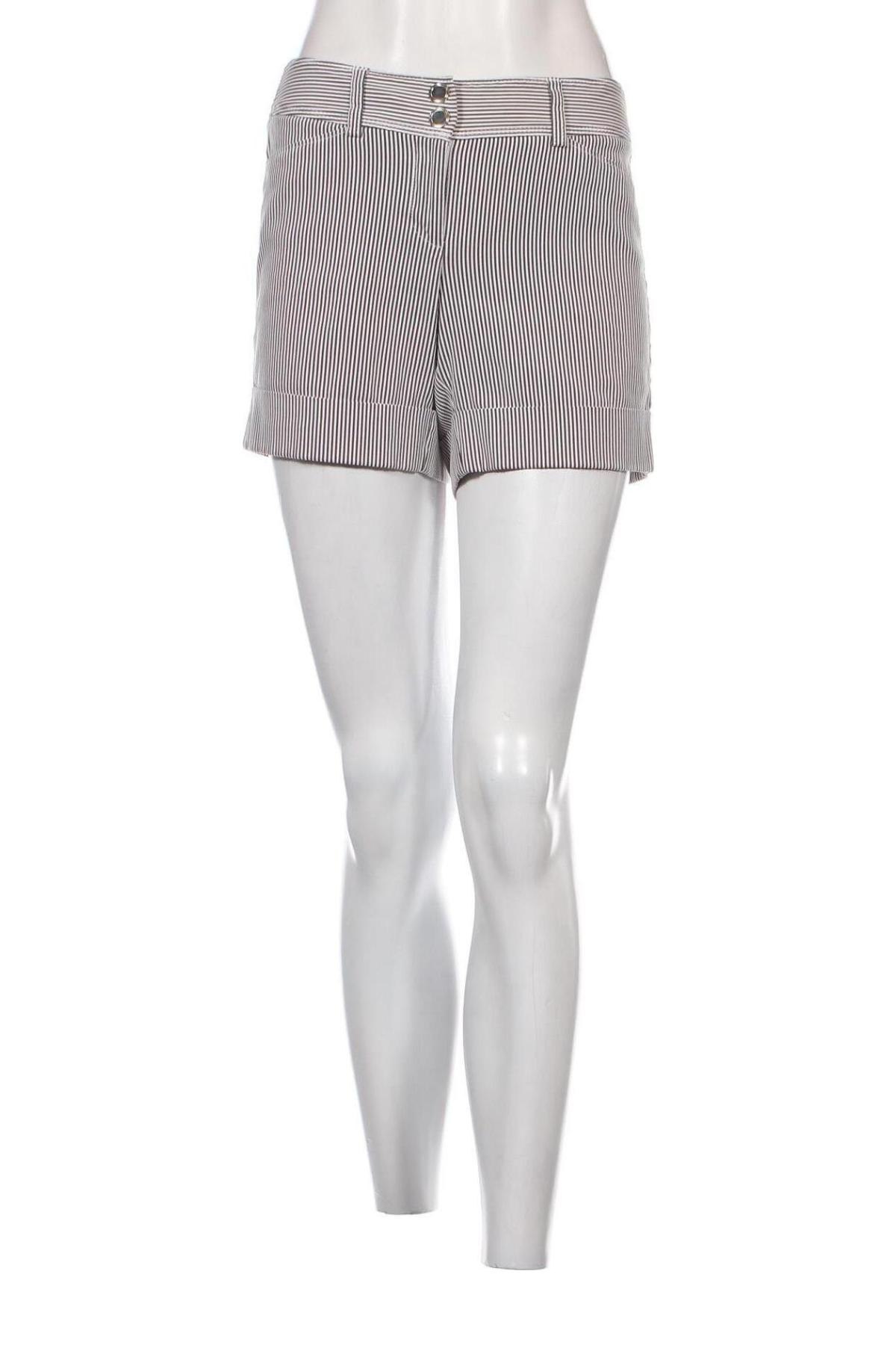 Damen Shorts White House / Black Market, Größe XS, Farbe Mehrfarbig, Preis € 23,66
