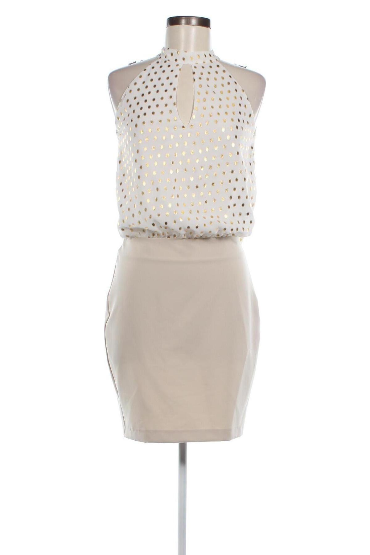 Kleid Fracomina, Größe S, Farbe Mehrfarbig, Preis € 105,15