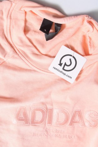 Damen Shirt Adidas, Größe L, Farbe Rosa, Preis € 23,99