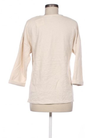 Damen Shirt Anko, Größe M, Farbe Ecru, Preis 6,99 €